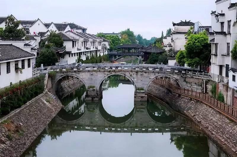 袋鼠逃生